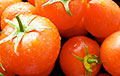 Импортер томатов в Беларусь: Россияне скупают турецкие помидоры и куда-то их везут