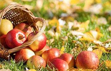 Яблочный Спас: традиции и история праздника