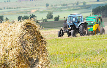 Inside: Situation in Agriculture in Belarus Is Close to Disaster