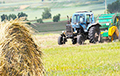 В Гомельской области проходят беспрецедентные чистки в аграрном секторе