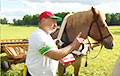 Лукашенко: Водил коня, подняв руки вверх – это полезно для нашего времени