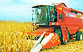 Villager Dies Under Wheels Of Corn Harvester In Rahachou District