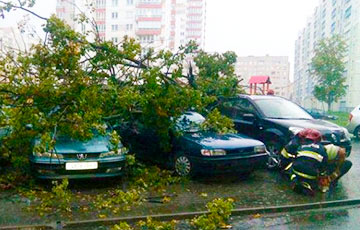 Последствия урагана в Минске