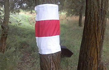 White-Red-White Flags Hung In Vorsha On Belarusian Military Glory Day