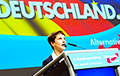 В руководстве немецких правых популистов произошел раскол