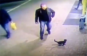 Videofact: Policeman Gruesomely Kicked Kitten In Street In Polatsk