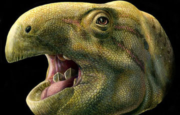 Французские ученые нашли новый вид динозавров-гурманов