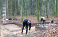 В Беловежской пуще обнаружены артефакты каменного века