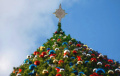 Активист заменил на главной елке в Молодечно «кремлевскую» звезду на Вифлеемскую