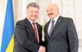Lukashenka: I Was Aware Of Neutralization Of Ukrainian Spy Network From Very Start