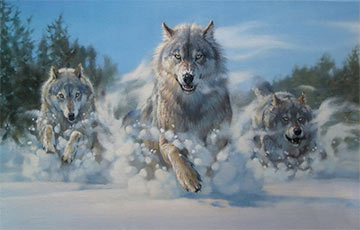 Волки берут в осаду деревни Гомельщины