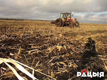 «Бітва за ўраджай»: У «Бярозаўскім» поле зааралі разам з кукурузай