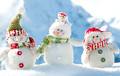 Відэафакт: У Гомелі камунальнікі косяць снег