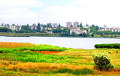 В Беларуси обнаружены бальнеологические грязи Сакского озера
