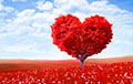 14 февраля: история и традиции празднования Дня святого Валентина
