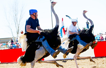 Поло на слонах, гонки на лопатах: самые необычные виды спорта