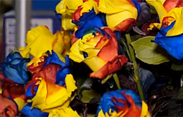 У Эквадоры стварылі незвычайныя рознакаляровыя ружы