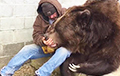 Видеофакт: Американец приручил 700-килограммового медведя
