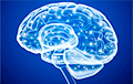 Ученые рассказали, какая зона мозга отвечает за эмоции