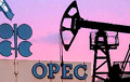 Дональд Трамп: OPEC штучна і вельмі моцна завысіла кошт нафты