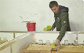 Как белорусский предприниматель выращивает сверчков на протеиновые батончики