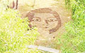 В Гомеле появился огромный портрет девушки из шишек