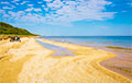 На пляже в Австралии обнаружили загадочных «инопланетян»