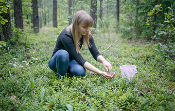 Ягодный клондайк: Как журналистка решила заработать на чернике