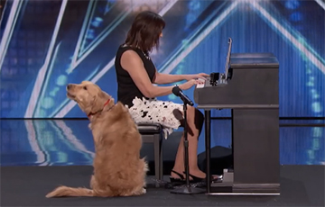 Видеохит: Собака спела на американской «Минуте славы» и победила