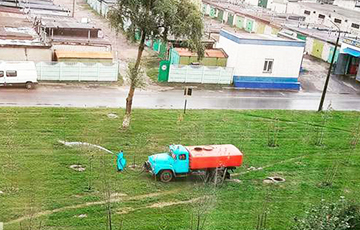Фотофакт: В Гомеле коммунальники в дождь поливали деревья
