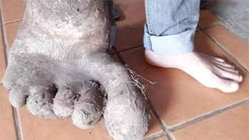 Фотофакт: В Бразилии выкопали картофелину в виде «ноги великана»