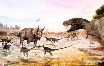 Гомельчанин  прославился, рассказывая факты про динозавров
