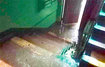 Видеофакт: В Барановичах ливень затопил подъезд с пятого по первый этаж
