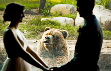 Попавший на свадебные фото эмоциональный медведь стал звездой Сети