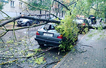 Через Беларусь прошел мощный циклон Фабьен