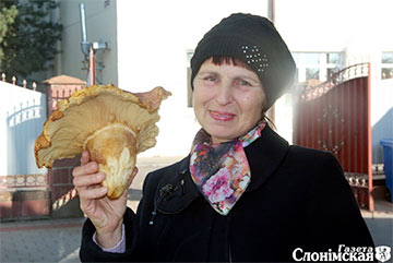 Фотафакт: жыхарка Слоніма знайшла грыб-волат