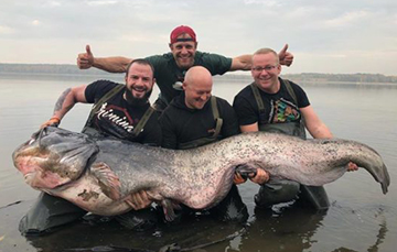 Фотофакт: Рыбак в Польше поймал сома весом более 100 килограмм