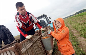 Будущие секретари и дизайнеры целый месяц собирали морковь в колхозе под Витебском