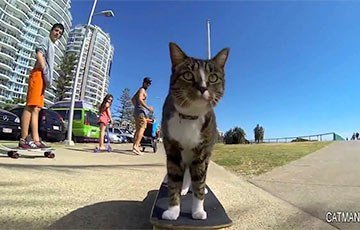 Видеохит: Австралиец научил кошку кататься на скейтборде