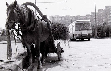На каком транспорте ездили в СССР и сколько стоил проезд
