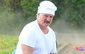 Lukashenka: We Need To Plough, Seed Day And Night