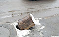 Ямочный ремонт по-бобруйски: дыру в тротуаре заткнули... пнем