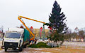 Жителей Полоцка повеселила елка в центре города