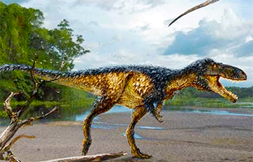 Огромные динозавры могли размахивать хвостами со скоростью звука: ученые выяснили, так ли это