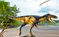 Найден новый вид динозавров