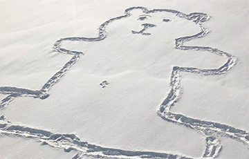 Канадцы разгадваюць таямніцу намаляванага на снезе мядзведзя