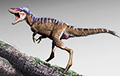 «Мини-тираннозавр», найденный учеными, закроет пробел в 70 миллионов лет