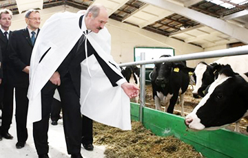 Чаму Лукашэнка загаварыў пра фермераў