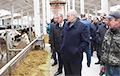 Выкладчык ВНУ, дзе вучыўся Лукашэнка: Позна піць баржомі