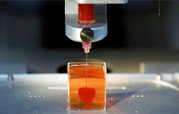 Навукоўцы з Тэль-Авіва надрукавалі міні-сэрца на 3D-друкарцы